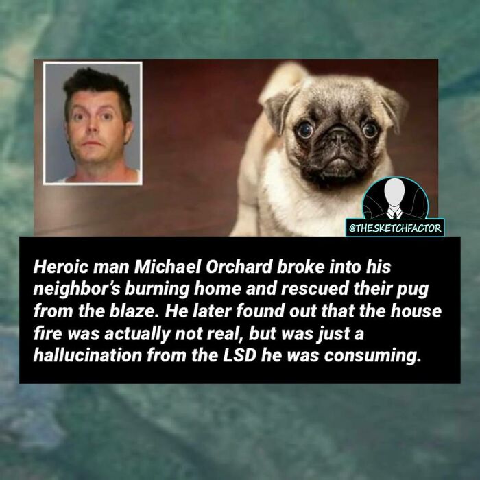 Man rescued pug from a burning house that was a hallucination, illustrating disturbing and morbid facts that might freak you out.