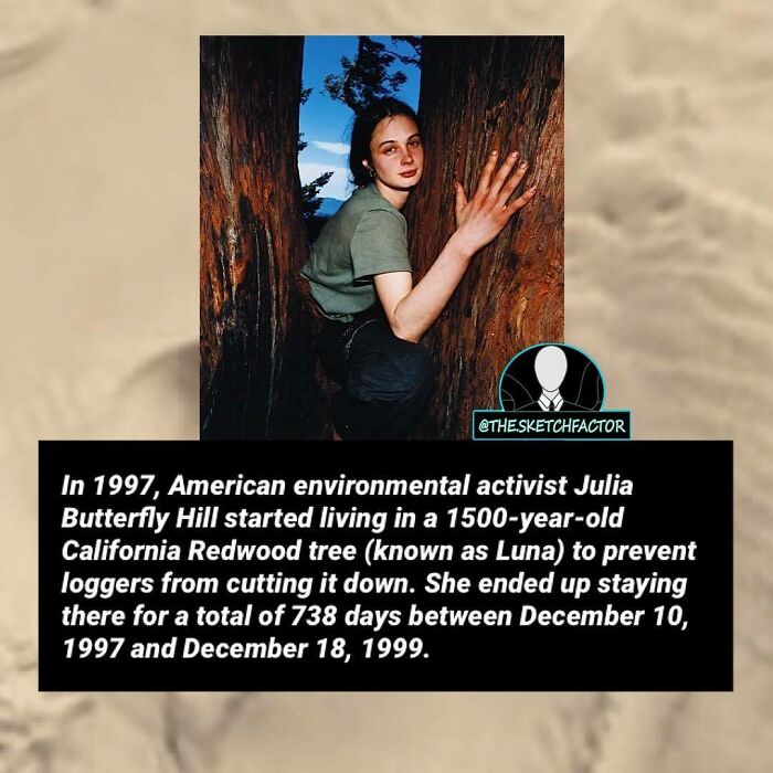 Young woman living inside a 1500-year-old Redwood tree for 738 days to stop loggers, a disturbing and morbid fact.