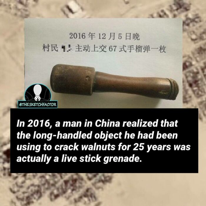 Live stick g*****e mistaken for walnut cracker for 25 years, a disturbing and morbid fact that might freak you out.