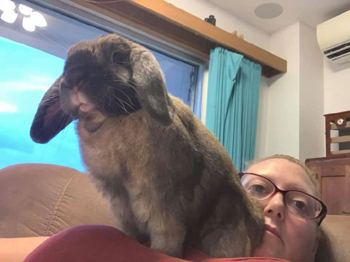 And His Butt Smells Bad