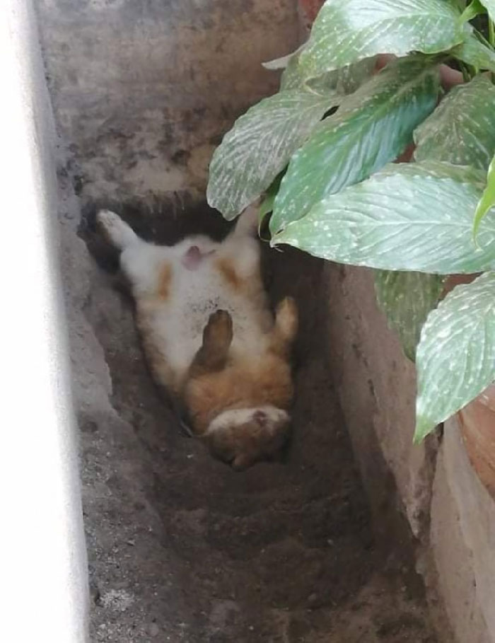 He Got No Worries At All