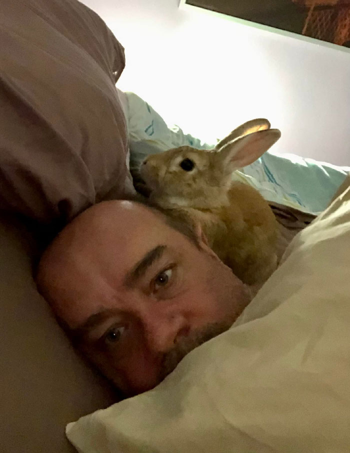 “Don’t Put Him In A Cage At Night! Free-Run-Buns Are The Best”. Yeah, Head-Sitting At 02.30 AM… Didn’t Really Want To Sleep Anyway, Skipper