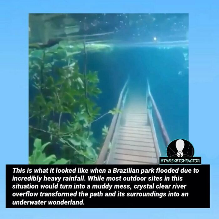 Underwater walkway in a Brazilian park flooded by heavy rainfall, showing a surreal and disturbing natural transformation.