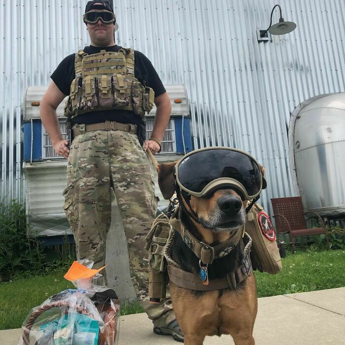 Like Owner, Like Pet