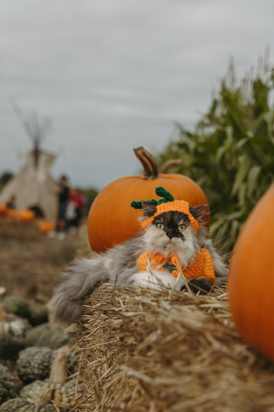 The Coastal Town Of Half Moon Bay