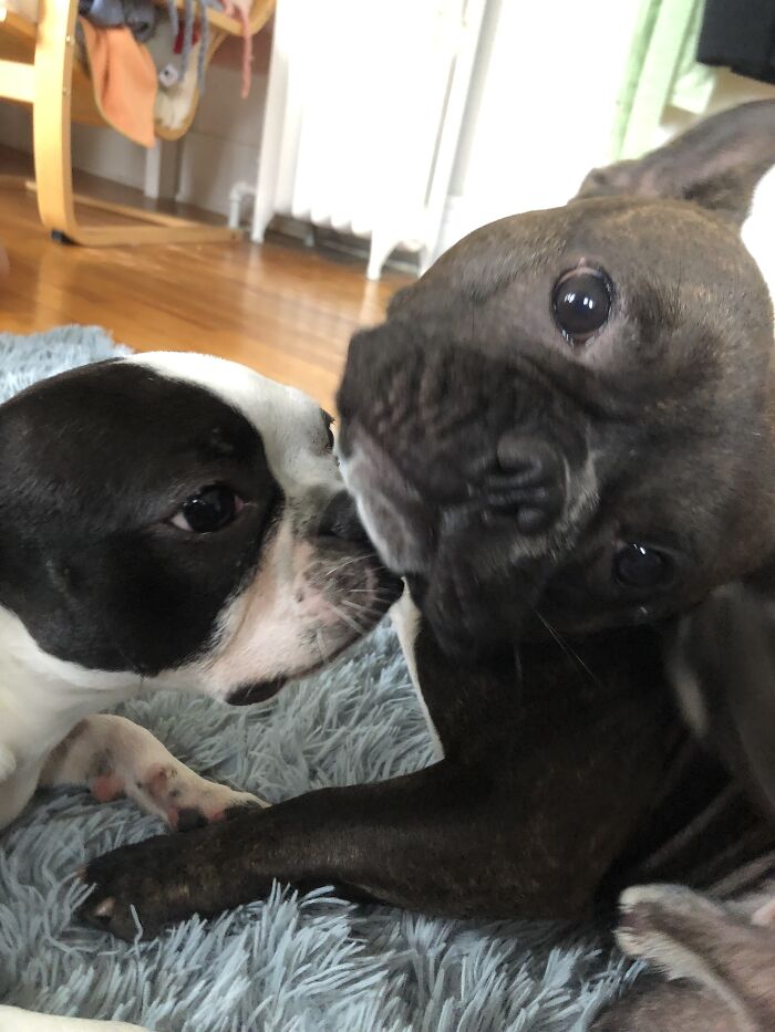 You Really Had To Scratch Your Ear Now?