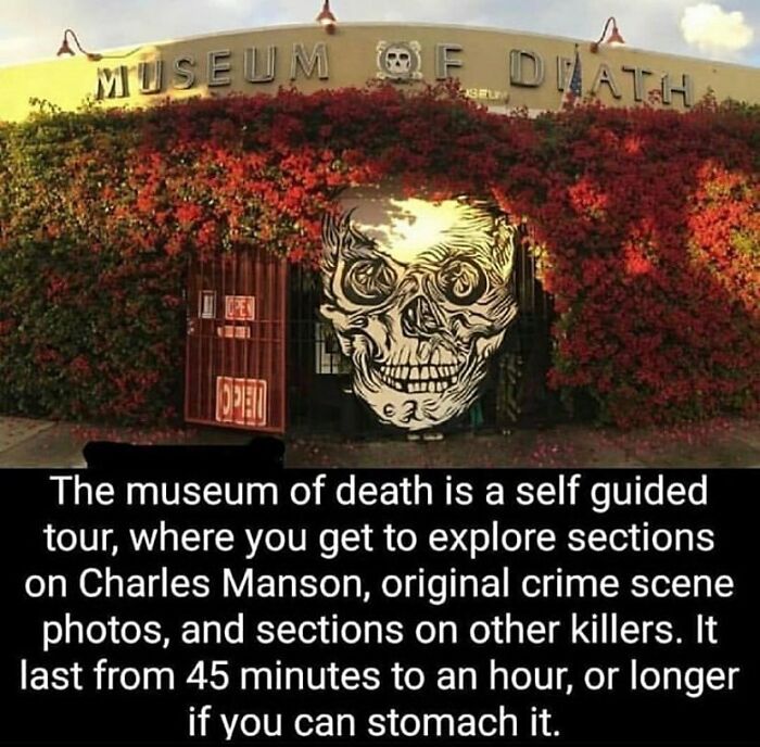 Museum of Death entrance covered in red vines with a large skull artwork, related to creepy facts and chilling exhibits.