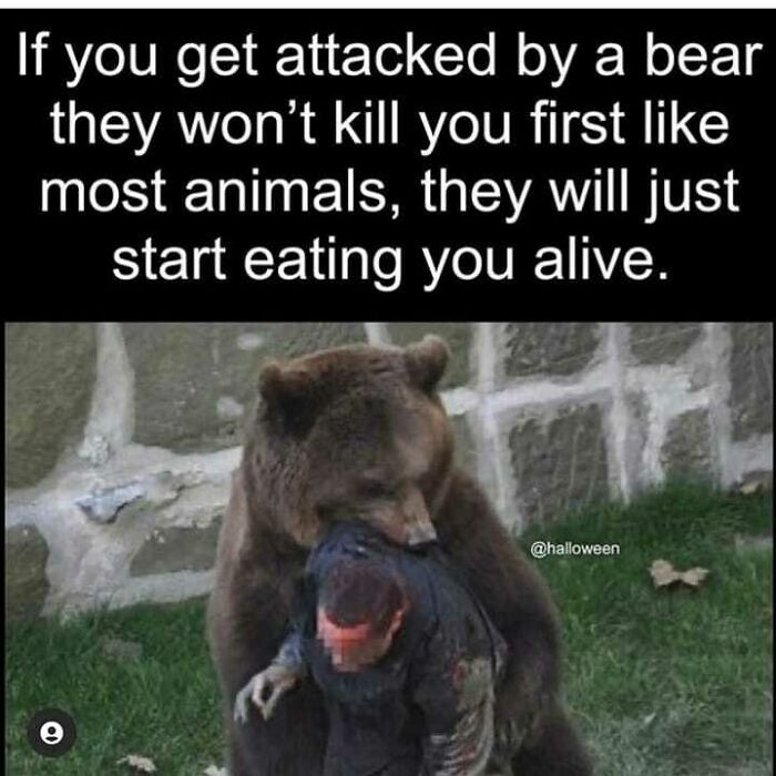 Bear attacking a person, illustrating one of the creepy facts about bears eating prey alive in random creepy facts.