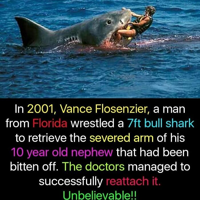 Vance Flosenzier wrestling a 7ft bull shark to retrieve a severed arm in a creepy and terrifying underwater encounter.