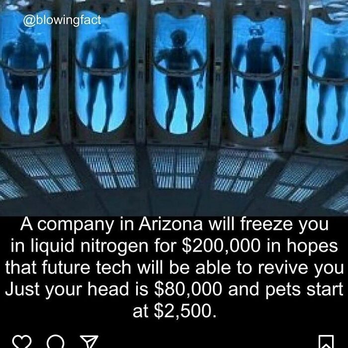 Humanoid figures frozen in liquid nitrogen tanks illustrating creepy cryonics facts to deprive somebody of sleep.