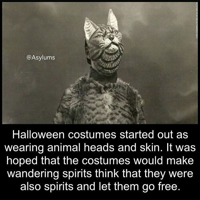 Black and white vintage photo of person in creepy animal head costume related to random creepy facts.