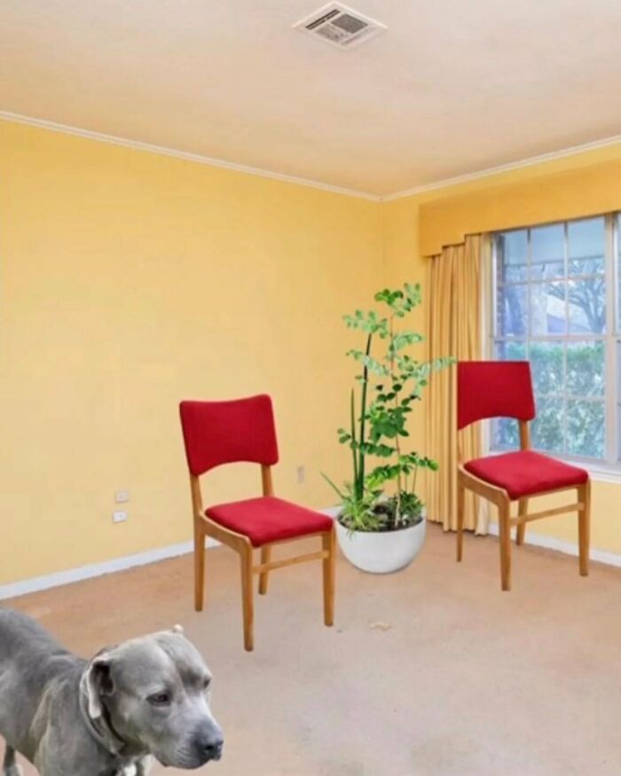 Bad-Real-Estate-Pictures