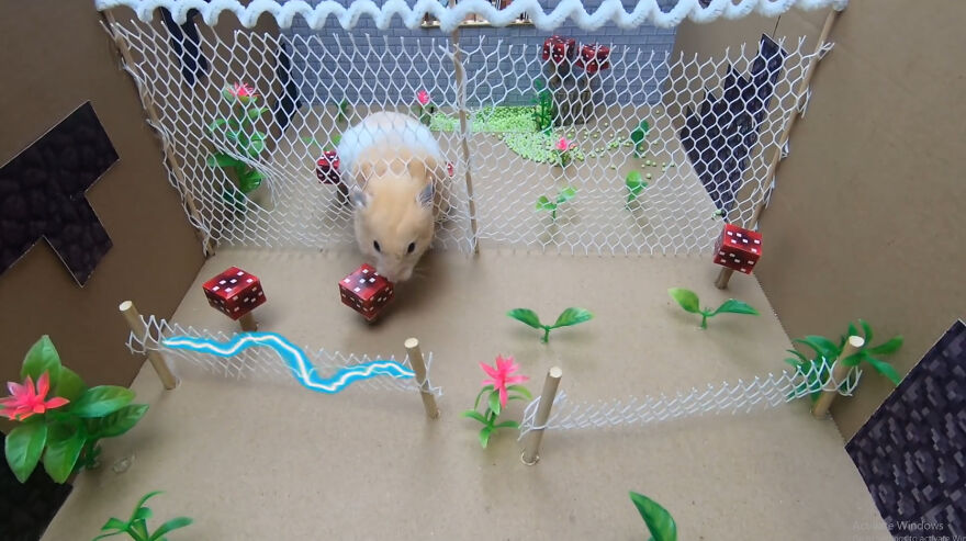 36 Million People Fell In Love With This Brave Hamster Video, Where He's Escaping From A Minecraft-Themed Prison Maze (15 Pics)