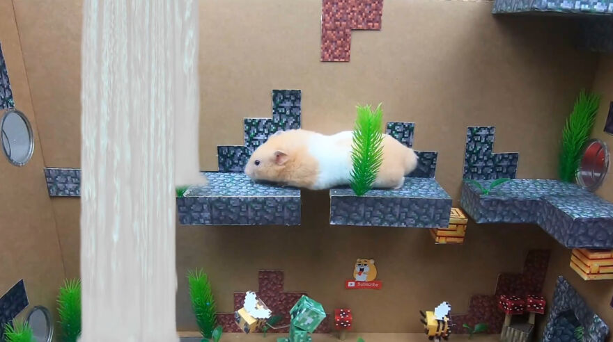 36 Million People Fell In Love With This Brave Hamster Video, Where He's Escaping From A Minecraft-Themed Prison Maze (15 Pics)
