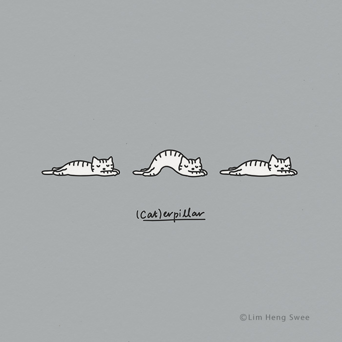 I Created These Illustrations Inspired By The Wisdom Of Cats Who Always Know Best On How And Where To Chill Out