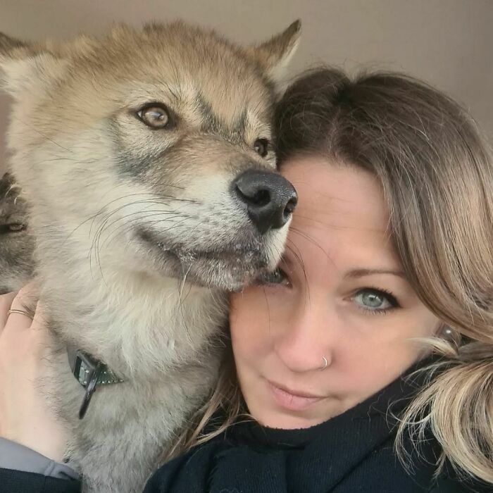 It Drools In The Car, And It Seeks Comfort