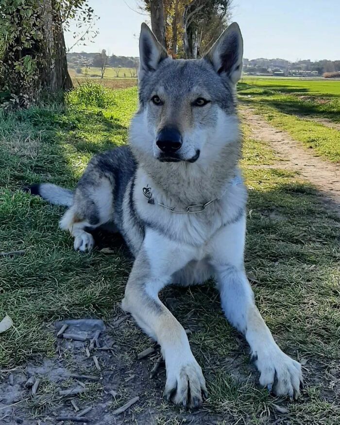 I Don't Have To Tan, I Prefer The Shade