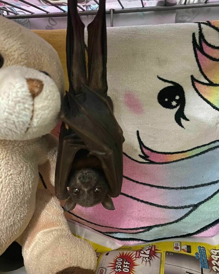 "Just Chilling With My Ted"