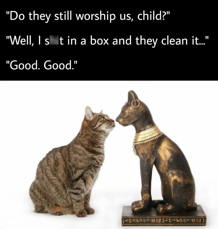 Funny-Classical-Paintings-Modern-Day-Captions