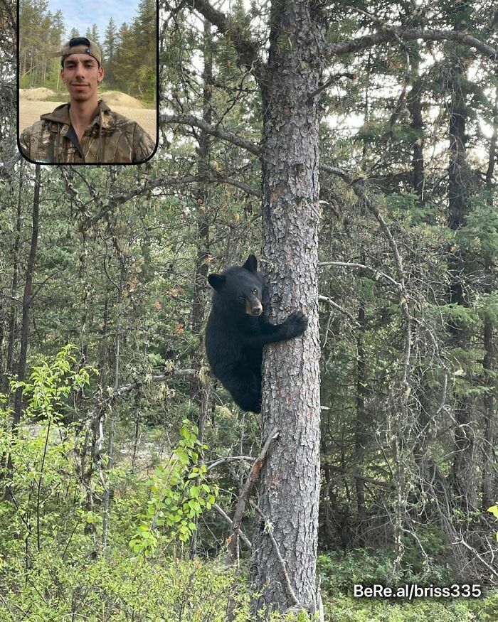 People Are Sharing Their Hilarious BeReal Pics, Here Are 35 Of The Funniest Ones