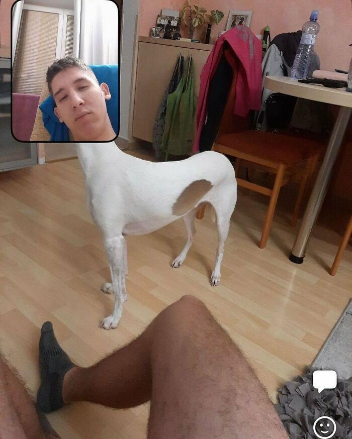 People Are Sharing Their Hilarious BeReal Pics, Here Are 35 Of The Funniest Ones