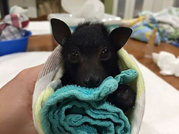 Did You Had A Nice Weekend?