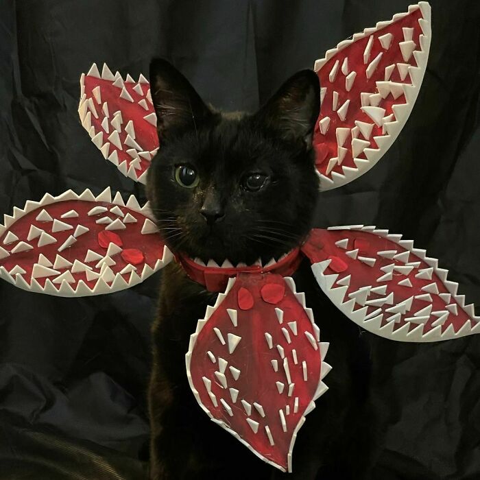 Demogorgon. I Am A Stranger Thing
