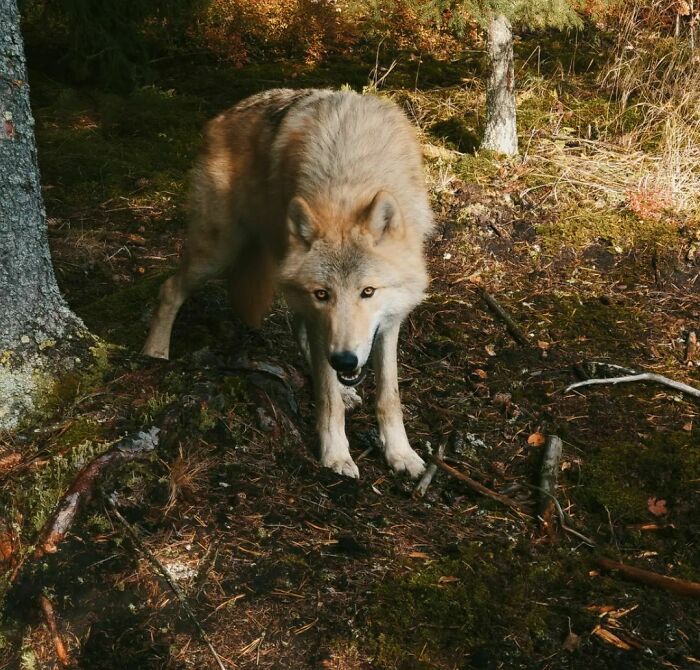 Am I The Only One Who Can't Wait To Have Snow?