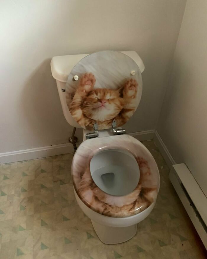 Bad-Real-Estate-Pictures