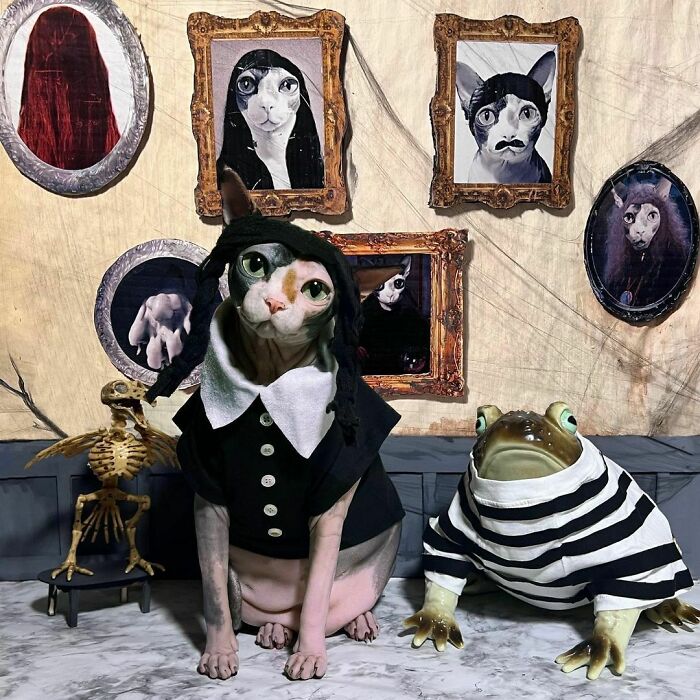 You Severely Underestimate My Apathy