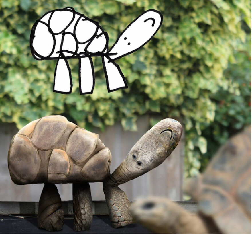 11 Crazy Drawing Come To Life