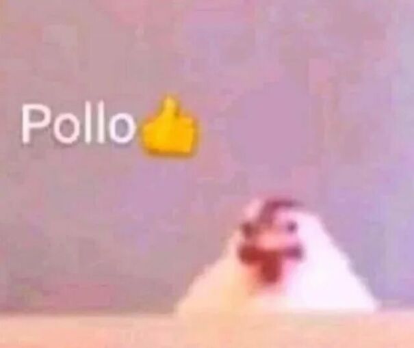 Pollo 👍