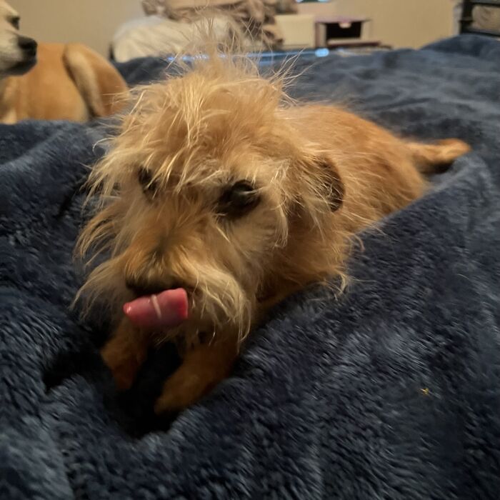 Just Trying To Get A Good Picture Of My Son, Andy