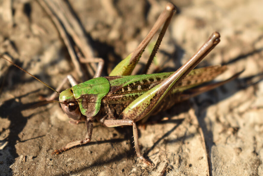 I Took Some Pics Of A Ukrainian Village