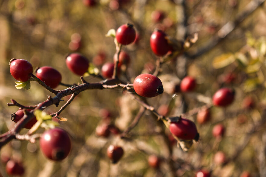 I Took Some Pics Of A Ukrainian Village