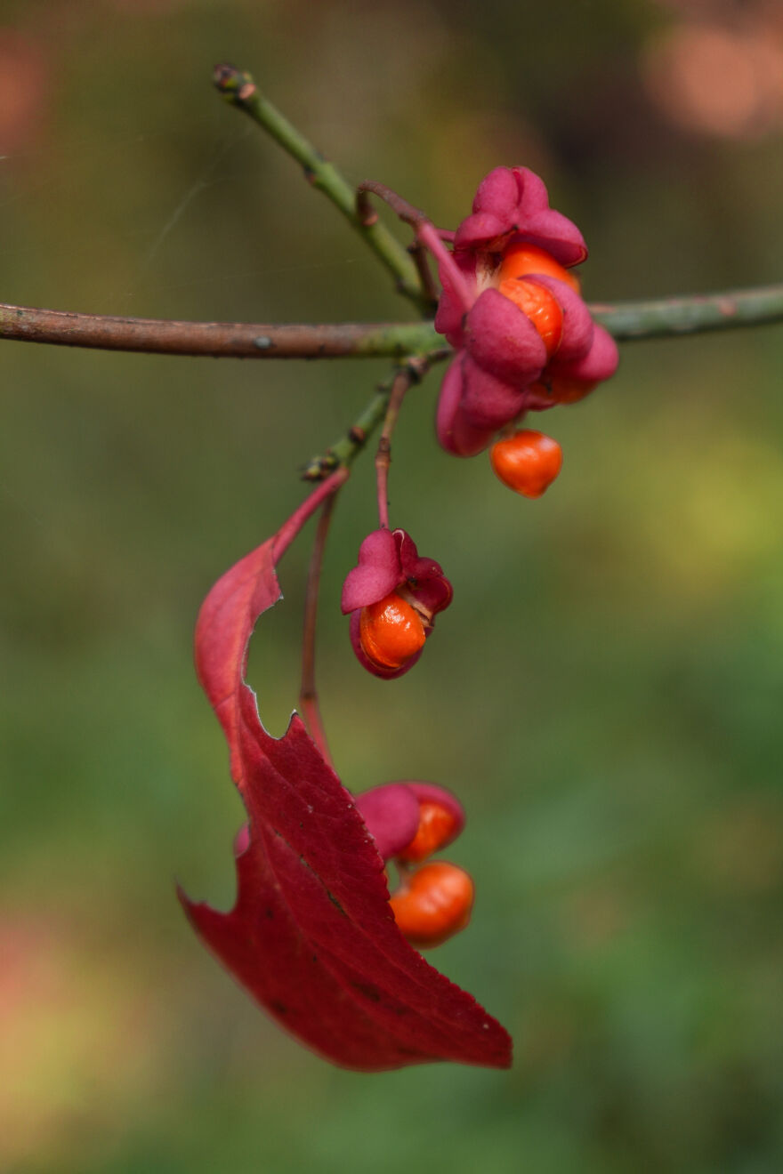 I Took Some Pics Of A Ukrainian Village