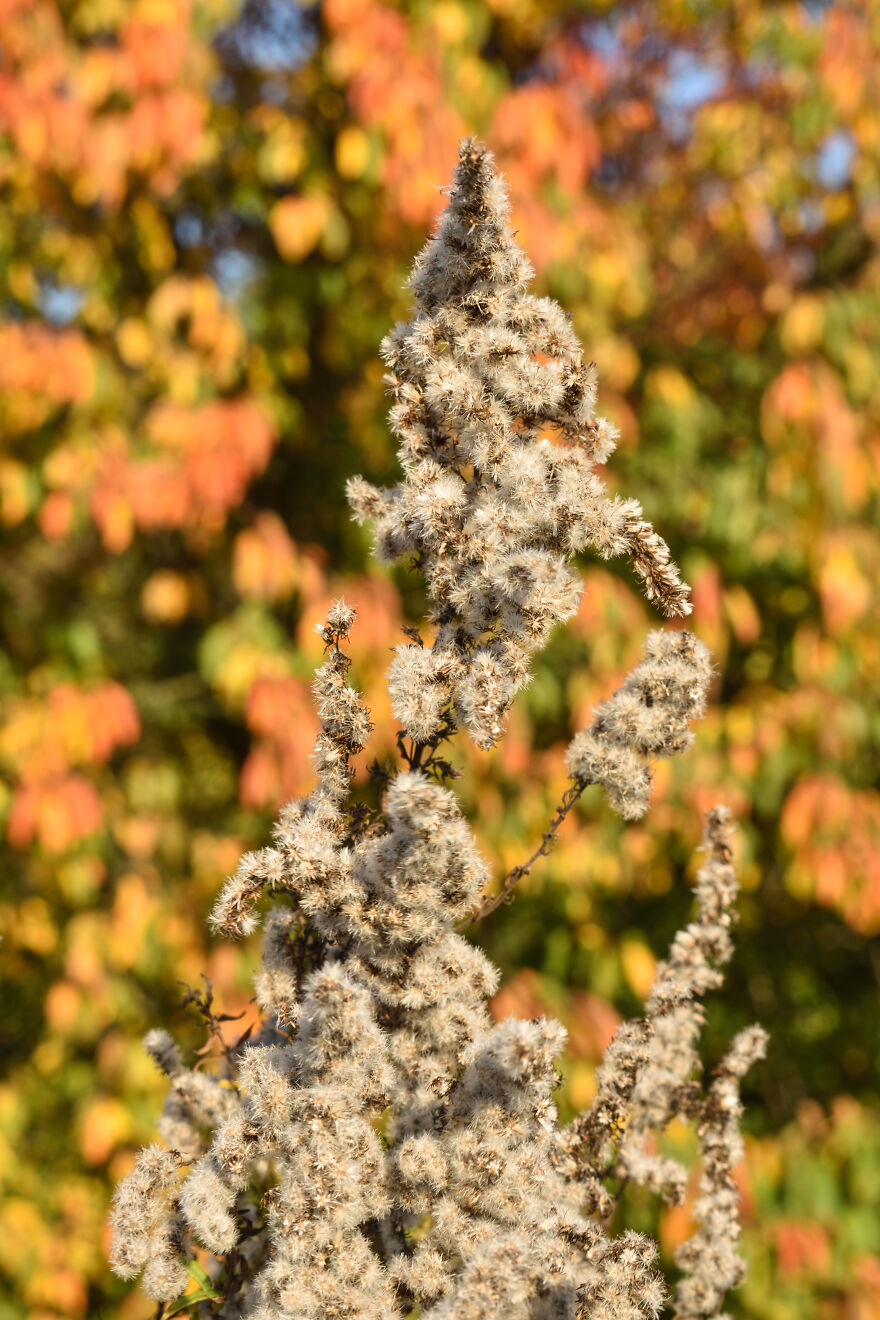 I Took Some Pics Of A Ukrainian Village