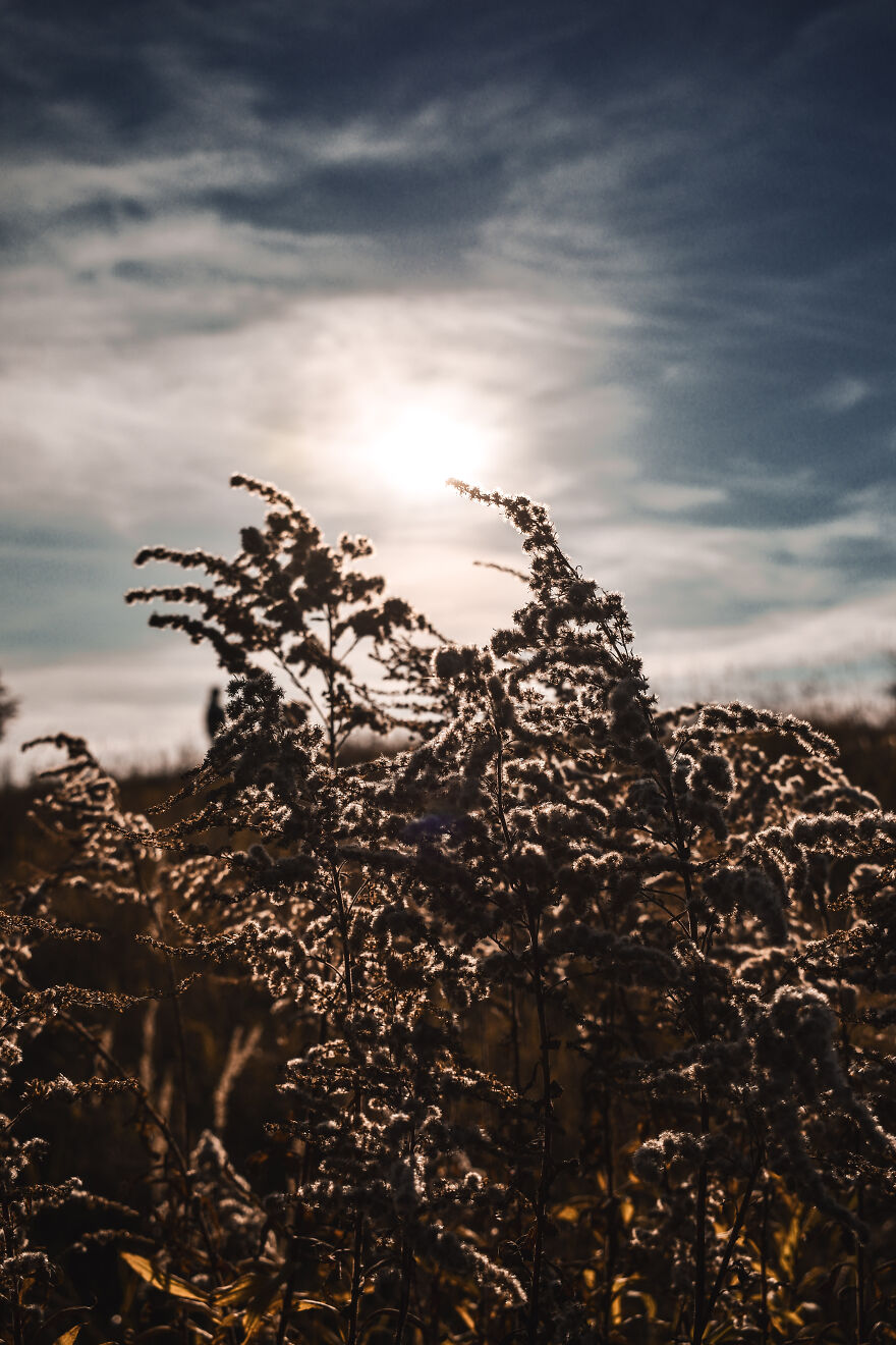 I Took Some Pics Of A Ukrainian Village