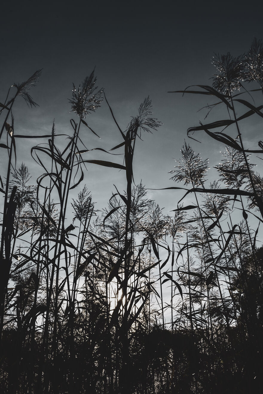 I Took Some Pics Of A Ukrainian Village