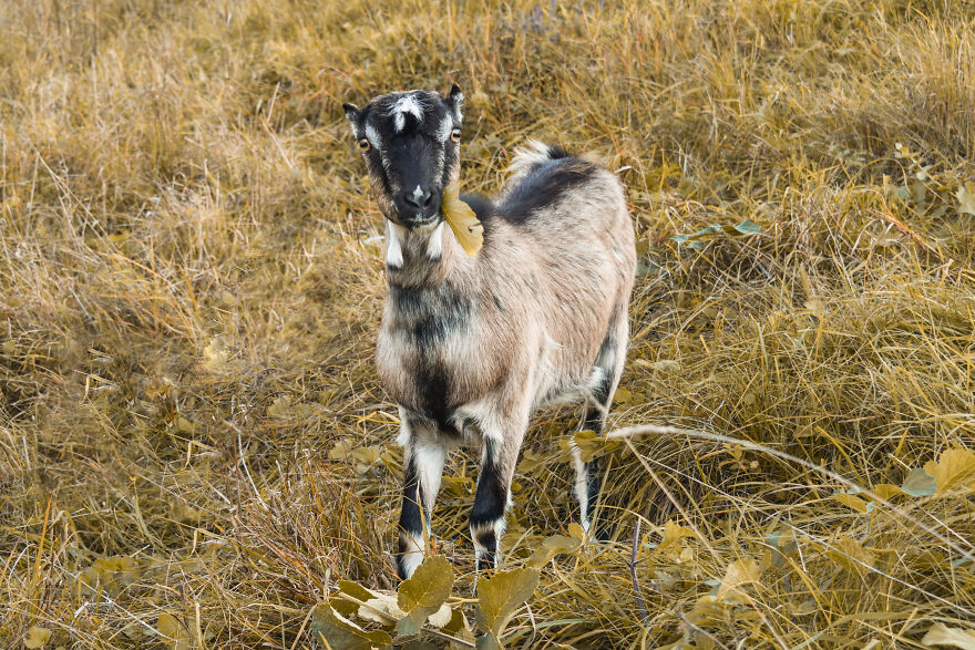 I Took Some Pics Of A Ukrainian Village