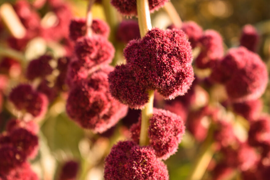 I Took Some Pics Of A Ukrainian Village