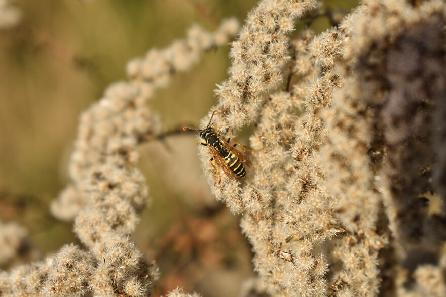 I Took Some Pics Of A Ukrainian Village