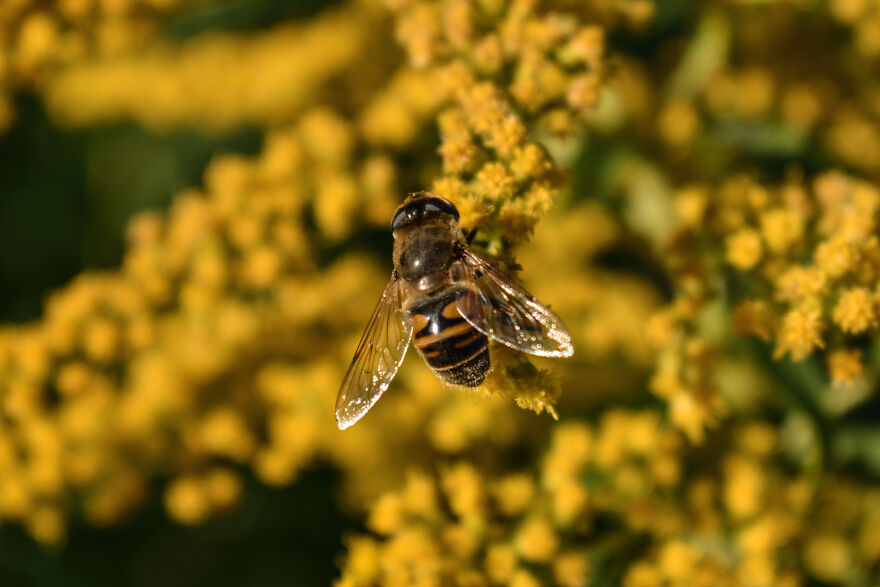 I Took Some Pics Of A Ukrainian Village