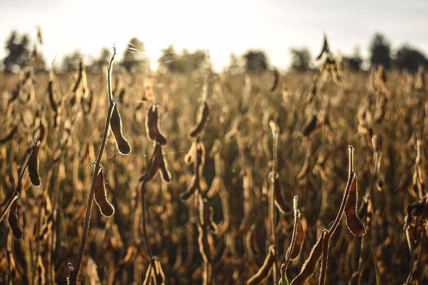 I Took Some Pics Of A Ukrainian Village