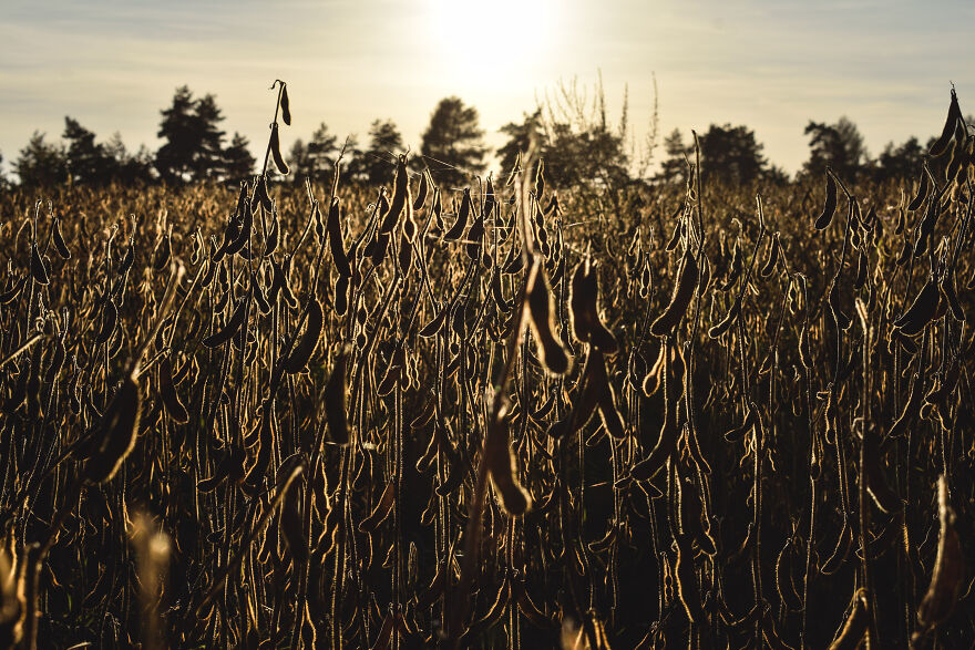 I Took Some Pics Of A Ukrainian Village