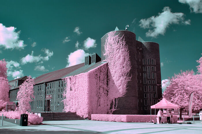 My Somewhat Successful Attempt At Infrared Photography