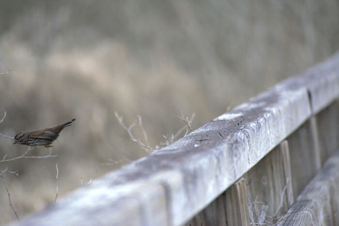 Me When Mom Takes Out Her Phone