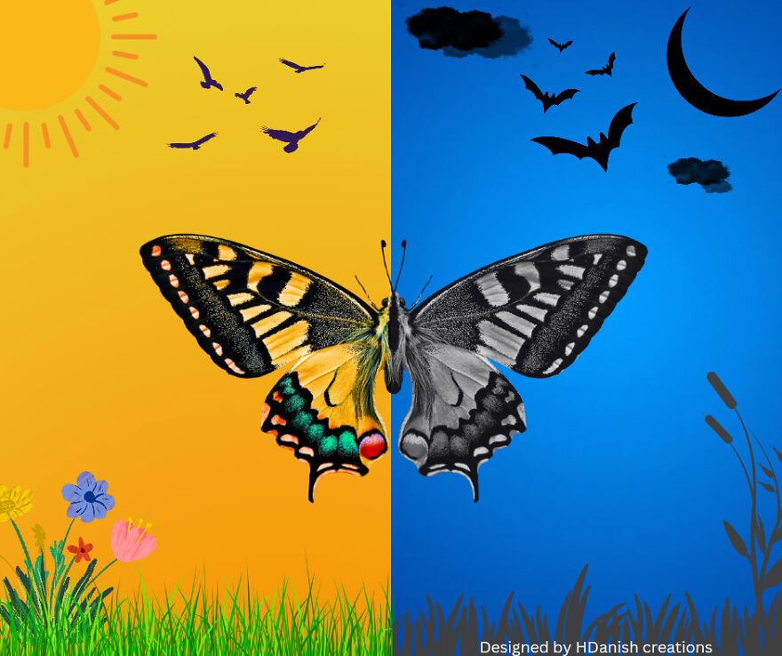 Here Is My Canva Art Collection (8 Pics) Here Is My Canva Art Collection (8 Pics)