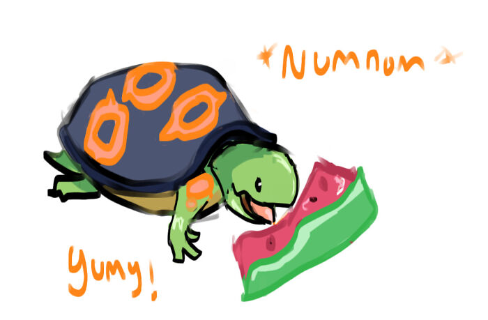 I Love Turtles Haha-