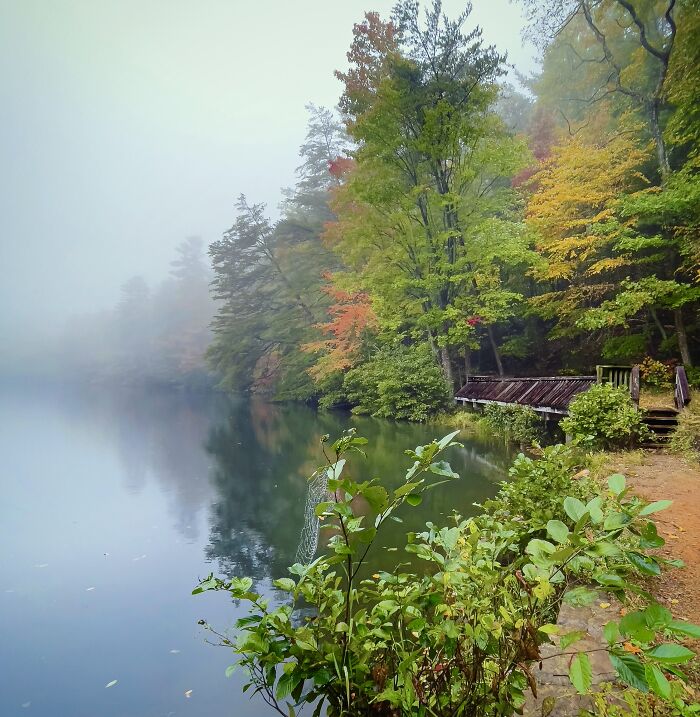 Dockery Lake, Cleveland, Ga, 12 October, 2022